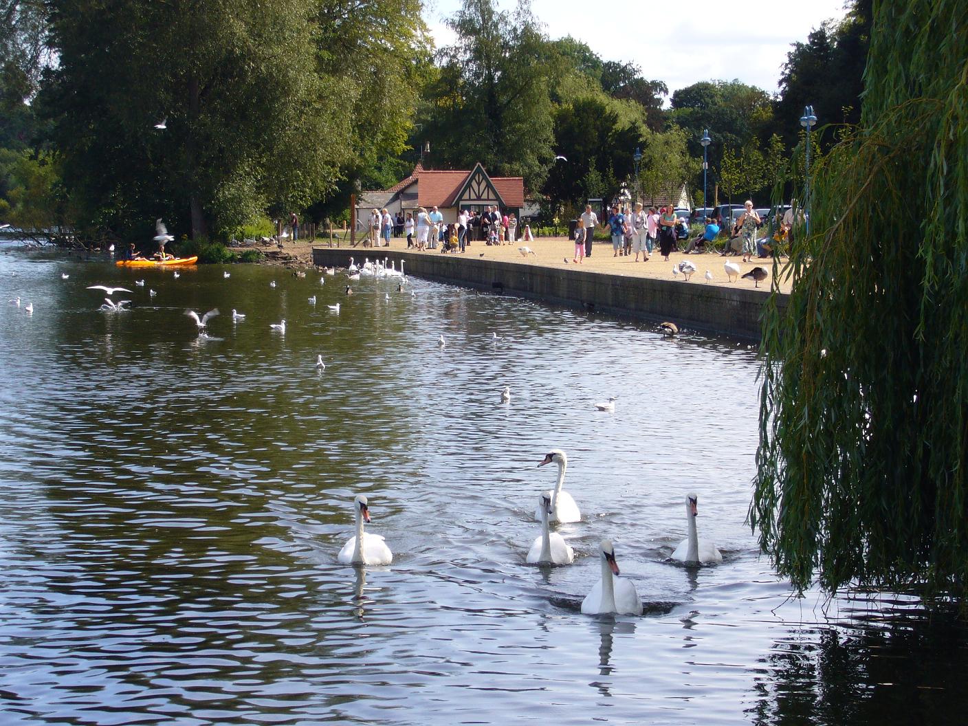 Ellesmere